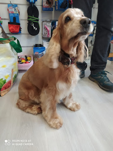 Txakurtxoko Peluquería Canina en Biscay