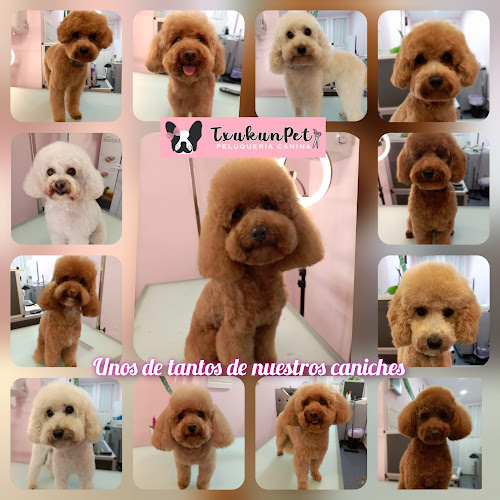Txukunpet Peluqueria Canina en Biscay