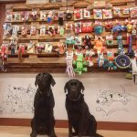 Urubi Tienda De Productos Para Animales Y Educación Canina – Peluquería Canina en Tolosa