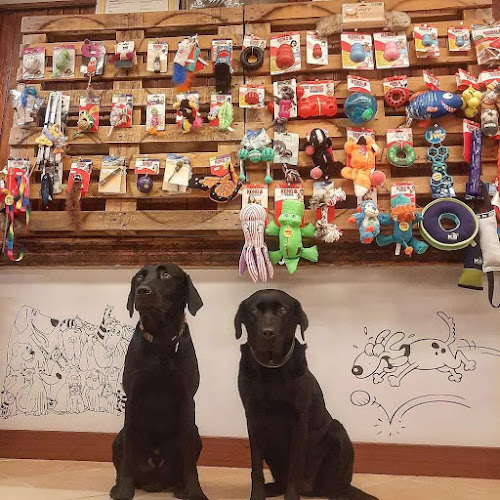 Urubi Tienda De Productos Para Animales Y Educación Canina en Gipuzkoa