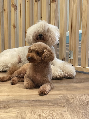 Vet Barber en Barcelona