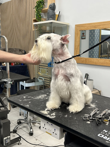 Vet & Stil Casp en Barcelona