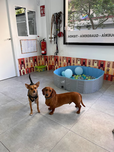 Vibras Caninas en Madrid