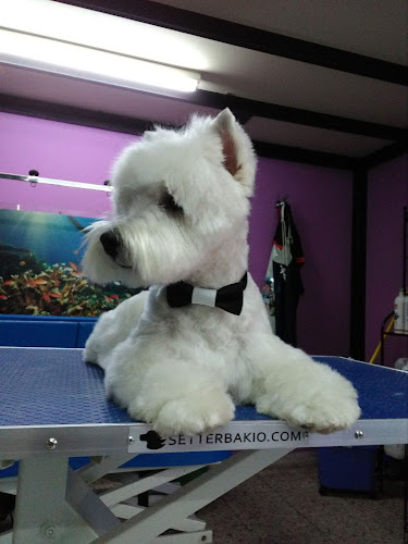 Victoria's Pet House en A Coruña