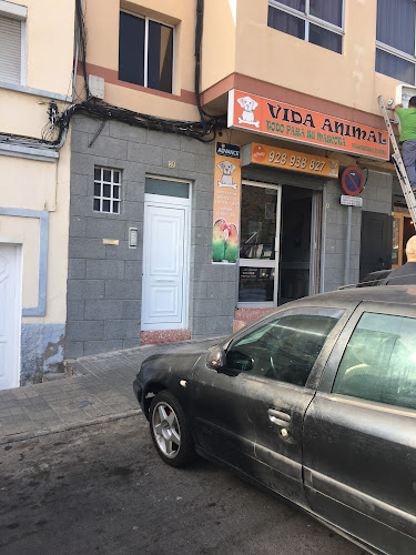 Vida Animal en Las Palmas