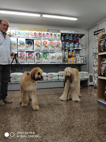 Waku-Waku Mascotas en Barcelona