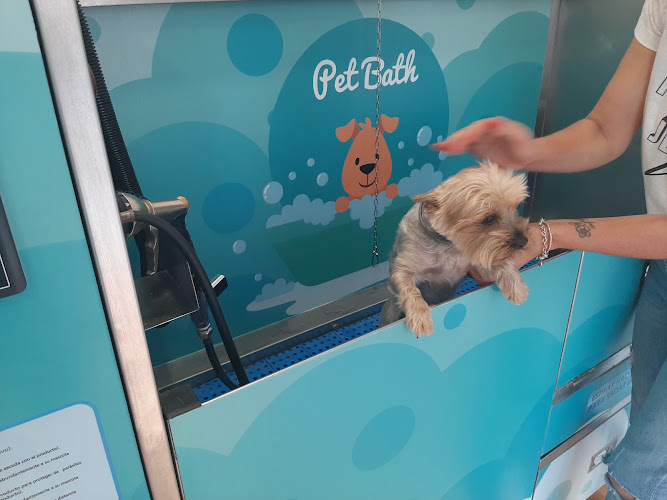 Washup Azuqueca Pets Autolavado De Mascotas en Guadalajara