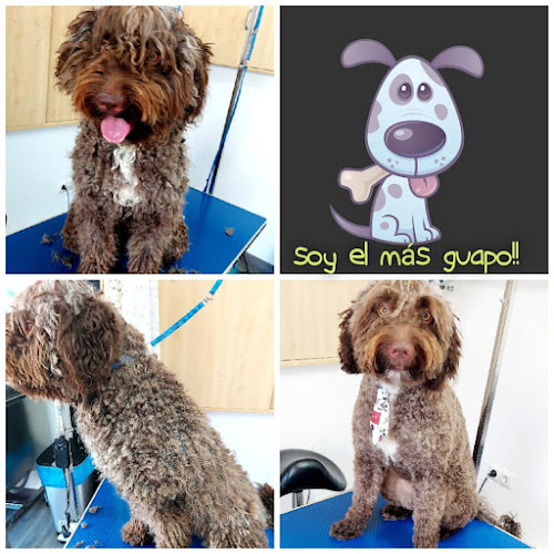 Wendy & Neo en Málaga