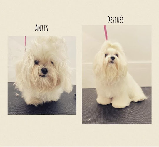 Woody´s Salon en Barcelona