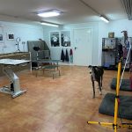 Woow Pups – Peluquería Canina en Oviedo