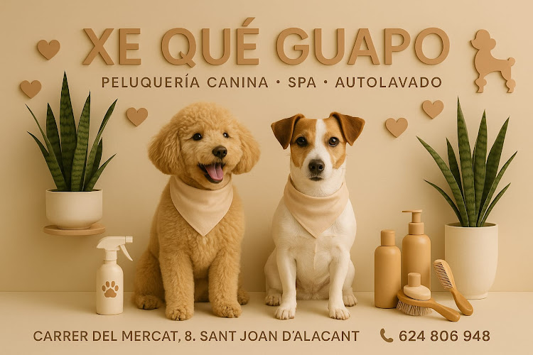 Xe Qué Guapo en Alicante