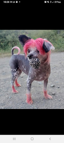 Zoo La Tienda De Tu Mascota en Guadalajara