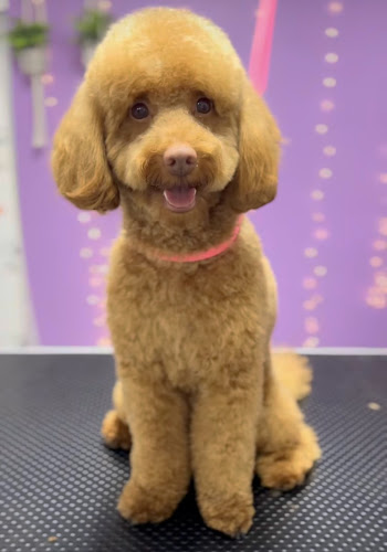 Zootropolis en Barcelona