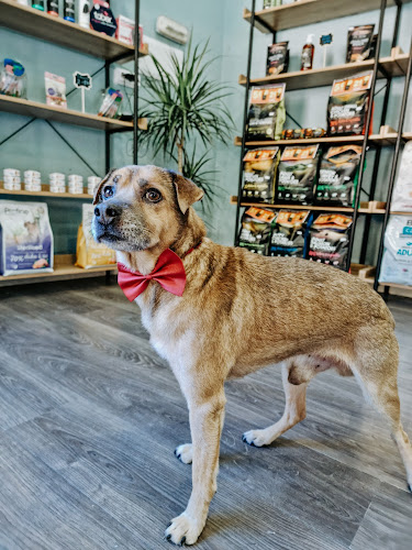 ¡ Oh Guau ! Peluquería & Spa Canino en Alicante