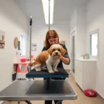 Peluquería Canina en Cobeña
