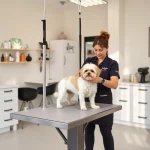 Peluquería Canina en Reus